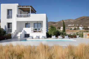 Villa Fryni, private pool & seaview by Naxos Dunes